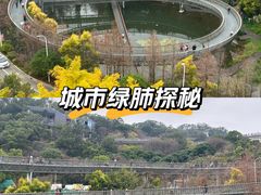 -福道