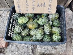 -荣发马店