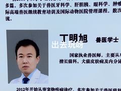 -北京观赏动物医院·24小时大型综合·猫专科·异宠专科