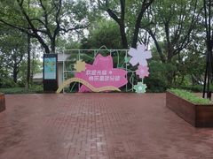 -金鸡湖桃花岛