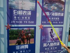 -秦皇岛乐岛海洋王国