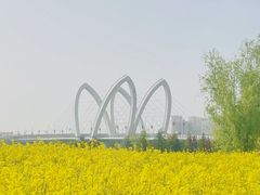 -诗经里