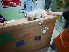 -酷狗靓猫宠物·洗护·美容·寄养(航北路店)