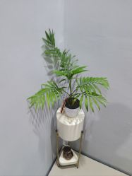 -MEMO Skin漫溯皮肤管理