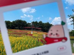 -厦门园林博览苑