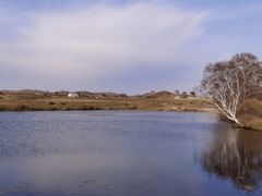 -塞罕坝国家级自然保护区