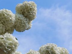 -大龙山(地铁站)