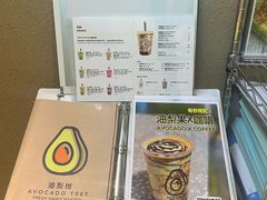 -油梨树AVOCADO TREE(顺义新国展店)