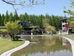 -黄海国家森林公园