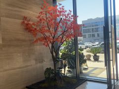 -唐宫足道·SPA·住宿24H会所(木渎店)