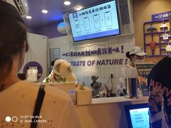 -一只酸奶牛(八一路店)