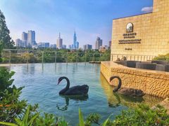 -行者书屋大堂吧 ·下午茶(南京圣和府邸酒店)