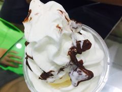 -Salud撒露欧洲冻酸奶(蓝色港湾店)