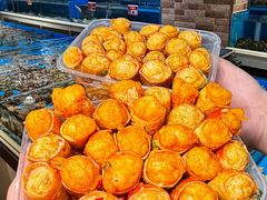 -鸭绿江海鲜烧烤大排档(杏林街店)