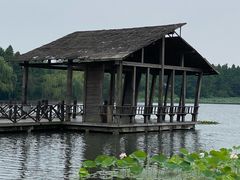 -溱湖国家湿地公园