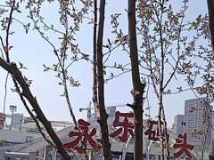 -海河游船-永乐码头(大悲院)