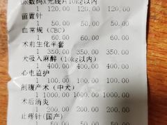 -伟伟宠物医院·CT影像中心·瑞派犬猫综合性门诊(汉口总院)