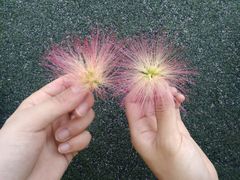 -麦当劳(咸阳人民路店)