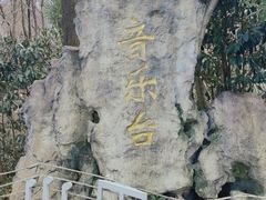 -音乐台