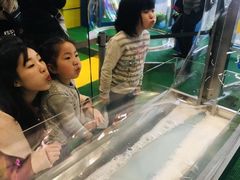 -大阪儿童乐园