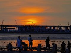 -宝安西湾红树林湿地公园