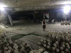 -仙蘑洞