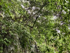 -仙岛湖旅游风景区