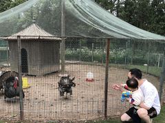 -前小桔亲子创意农场·草莓采摘·露营烧烤