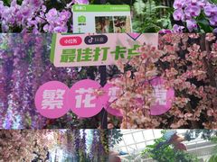 -正佳雨林生态植物园