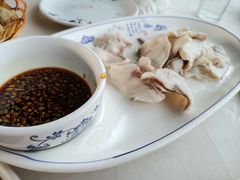鲟鱼~过江龙-天源渔港农庄