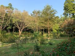 -云溪植物园