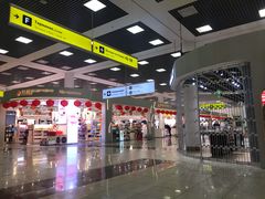-谢列梅捷沃国际机场