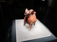 -山东博物馆