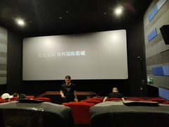 -保利国际影城(百花谷店)
