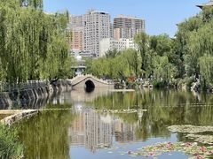 -文瀛公园