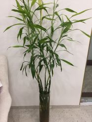 点击看大图 -苗方清颜·祛痘皮肤管理