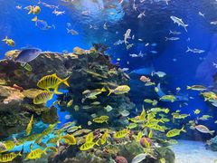 -海合安成都极地海洋公园
