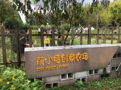 -上海长兴岛郊野公园