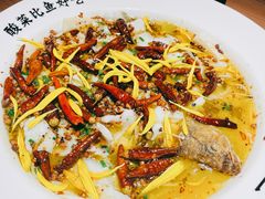 二人份酸菜鱼-太二酸菜鱼(沈阳万象城店)