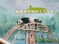 -杭州动物园