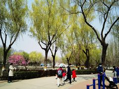 -康庄公园