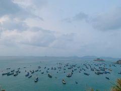 -枸杞岛