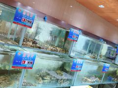 -天天渔港(杏林街店)