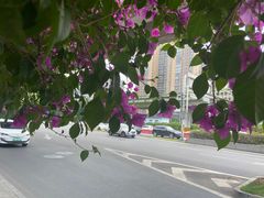 -生火火·小炉子炭烤(金楠天街总店)