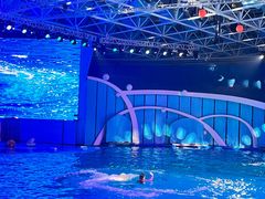 -海合安青岛极地海洋公园