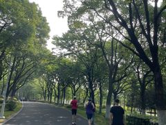 -白塘生态植物园