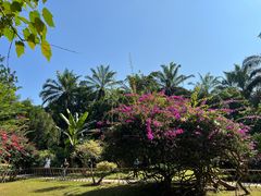 -中国科学院西双版纳热带植物园