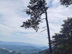 -东天目山风景区