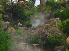 -罗红摄影艺术馆