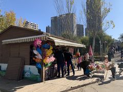 -长白岛森林公园